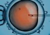 The Rise Of Reproductive Technology Amid Falling Fertility Rates