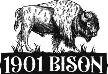 Discover Texas Fresh Bison Meat: A Nutritious and Delicious Choice