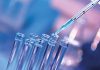 Driselase: The Versatile Enzyme Powering Diverse Industrial Applications