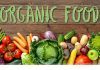Europe Organic Food Market Size, Share, Sales Analysis, Forecast 2024-2032