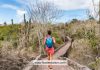 Responsible Wildlife Tourism: Ethical Encounters with Nature