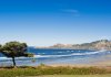 Discovering Unbeatable Beach Vacation Deals & Luxurious Beachfront Houses for Rent